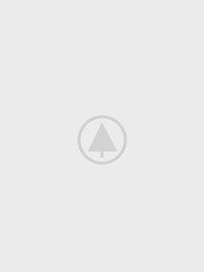 Suspendisse quam at vestibulum