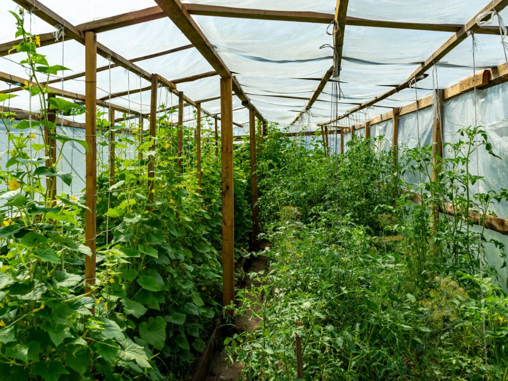 5 tipov, ako pripraviť záhradu na jar 5 tipov, ako pripraviť záhradu na jar