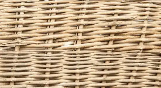 prirodny technoratan