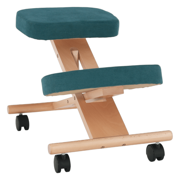 flonet 01 2