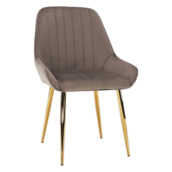 perlia 01 1