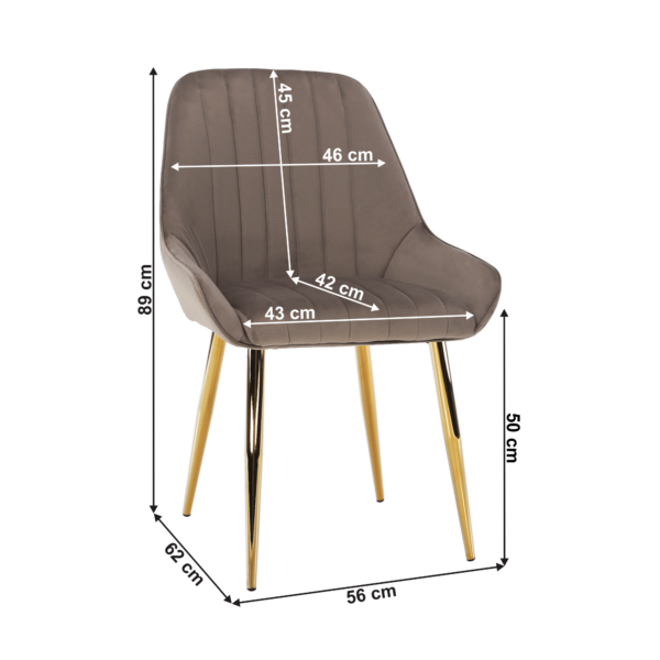 perlia 01 koty 1