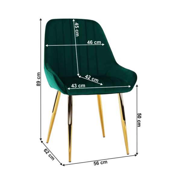 perlia 01 koty