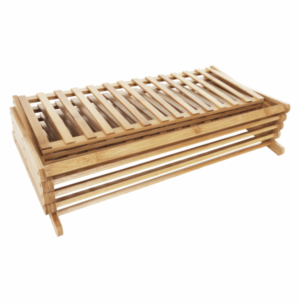 tosea regal bambus 05