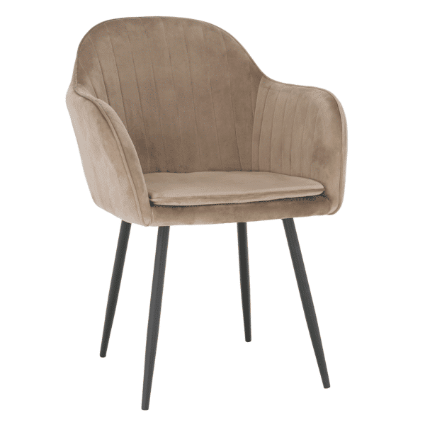 zirkon taupe hneda 01